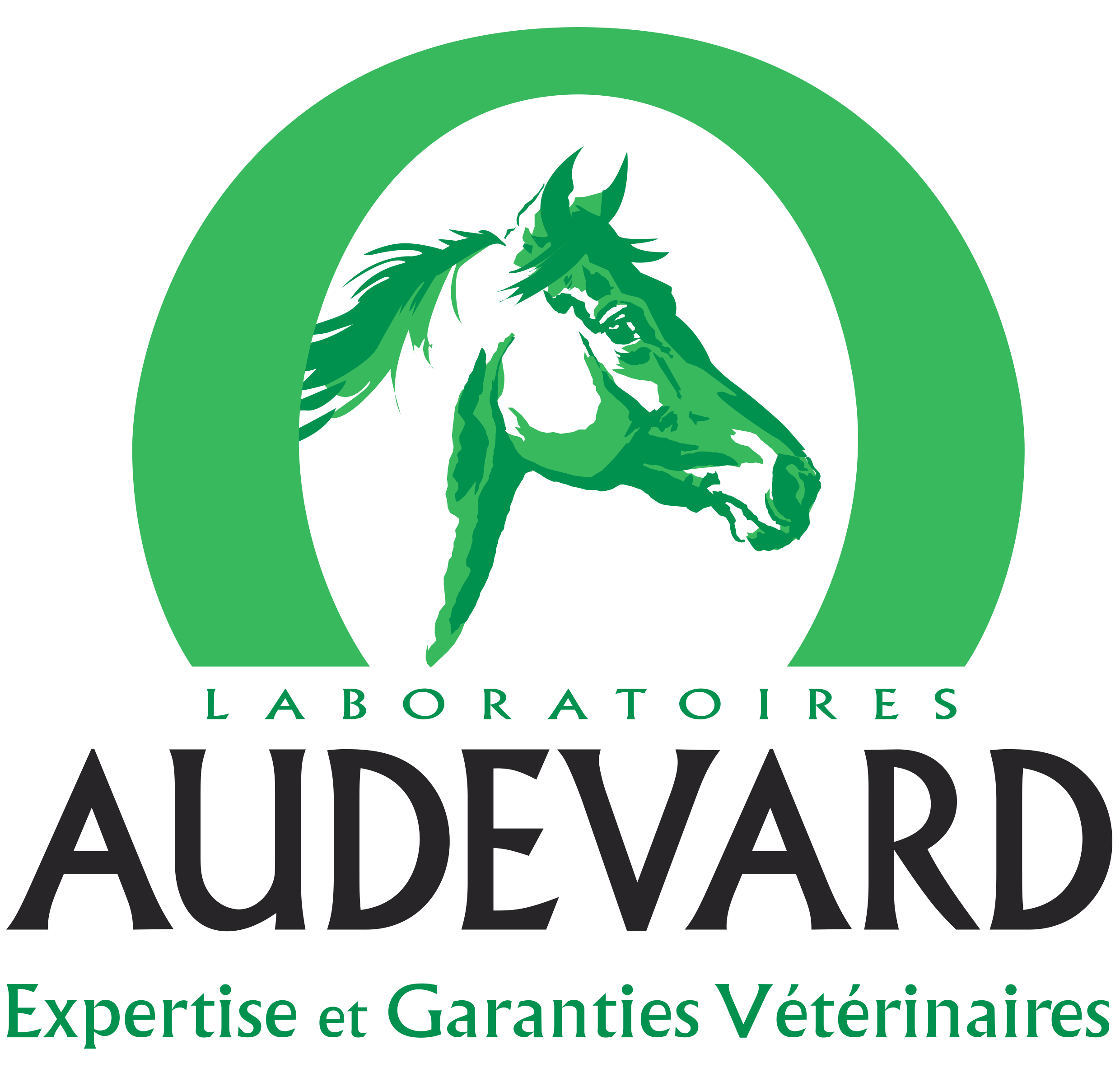 Logo AUDEVARD